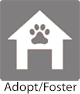 Adopt Foster
